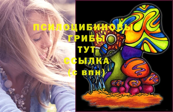 МДМА Новозыбков