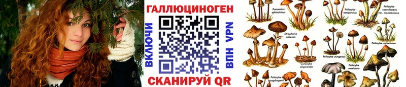 Псилоцибиновые грибы Cubensis  Курск 